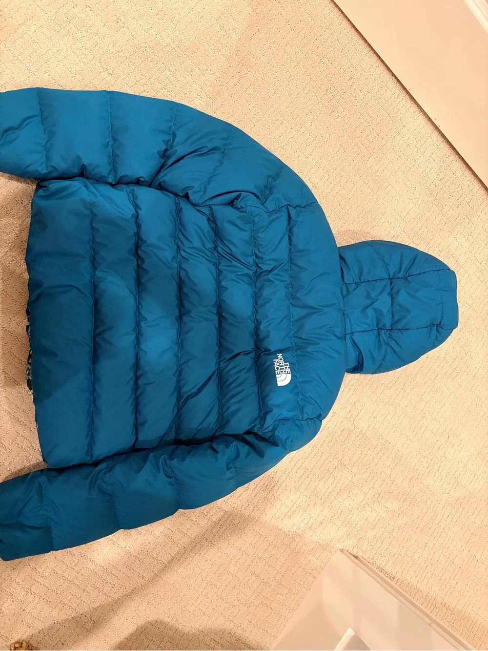 The North Face Kids Teal Hooded Puffer Jacket